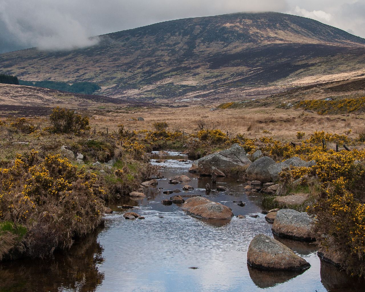 St Kevin's Way