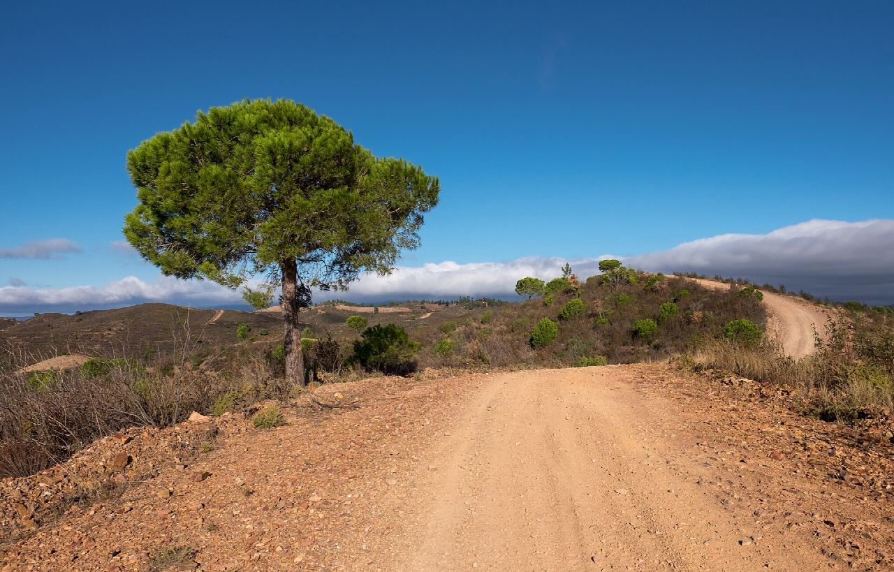 Via Algarviana